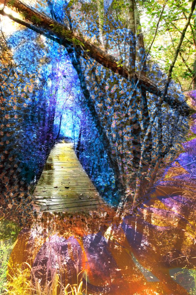 Jane Costlow decorative image of jane_costlow , Addy Winners Scholorship 2013-09-20 11:46:52