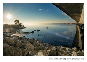 lisacarver-300×214 decorative image of lisacarver-300×214-1 , PSC photography student wins month-long exhibit at Jaco’s 2020-06-09 09:30:34